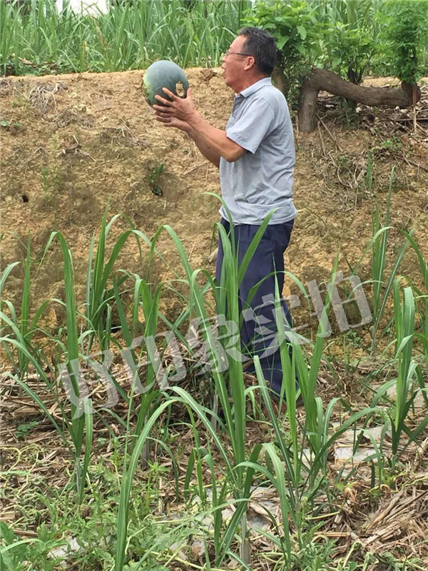 好印象纸巾|好印象纸品|好印象纸业